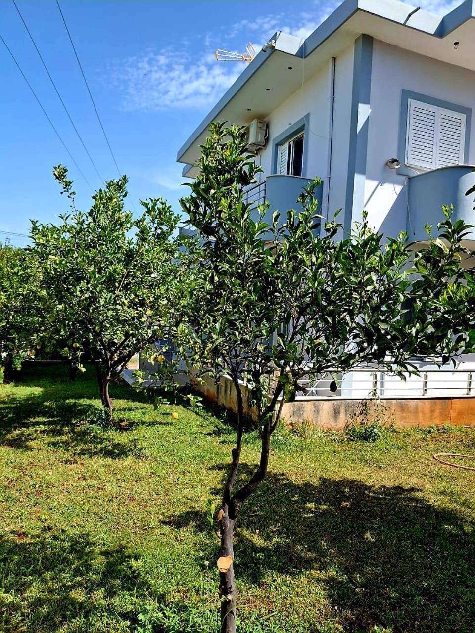 Myksamil Apartments Екстер'єр фото