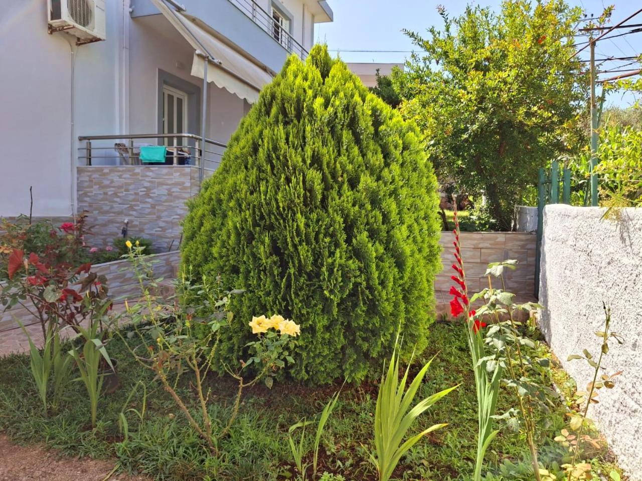 Myksamil Apartments Екстер'єр фото